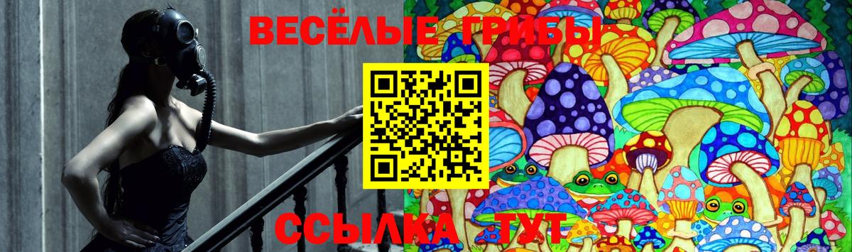 Псилоцибиновые грибы мицелий Азнакаево