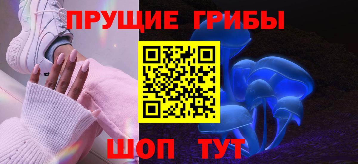 Азнакаево  Псилоцибиновые грибы Psilocybe  Вход с VPN 